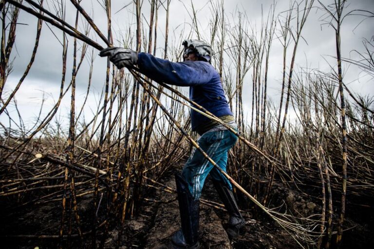 Açúcar mais caro devido a fatores climáticos e aumento na demanda por etanol