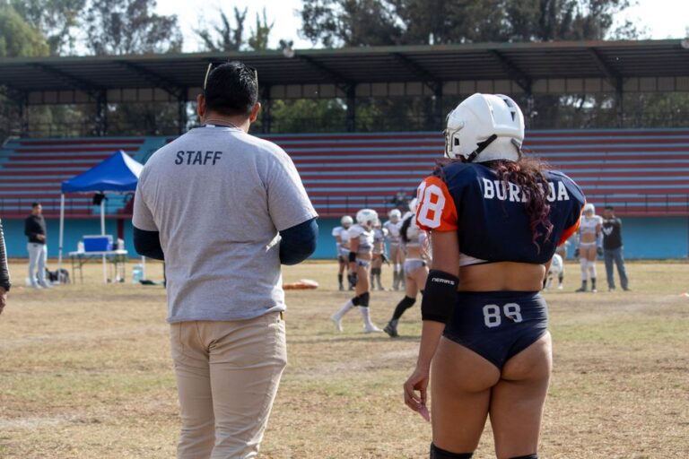 Jogadores da NFL protestam por grama natural nos estádios