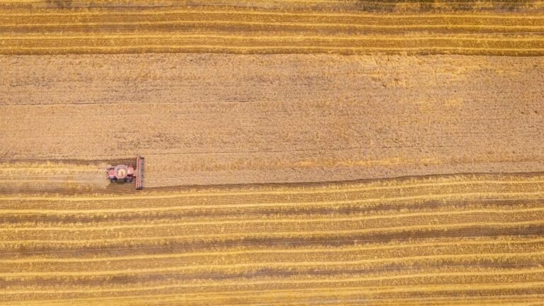 tarifas EUA agronegócio