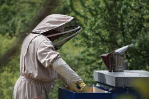 apicultores Aracruz produção mel