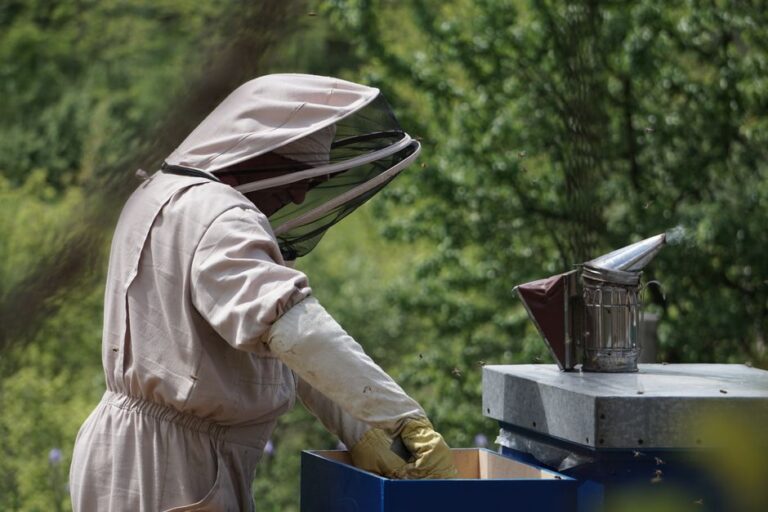 apicultores Aracruz produção mel
