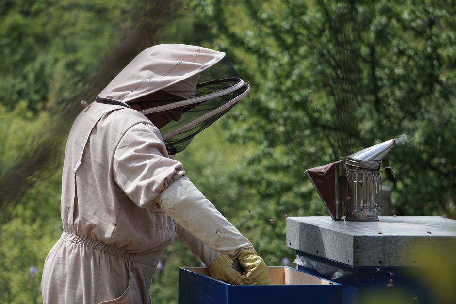 apicultores Aracruz produção mel