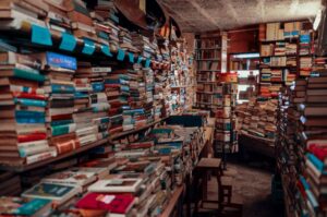 Festa Literária Internacional de Paraty e Orides Fontela