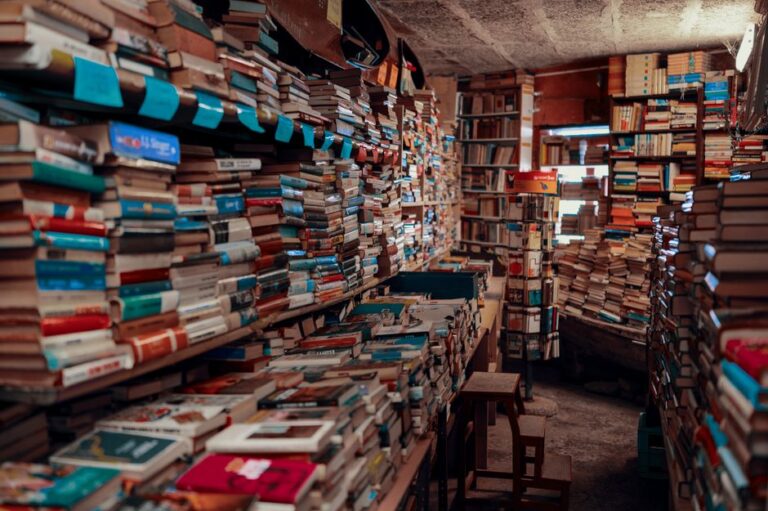 Festa Literária Internacional de Paraty e Orides Fontela