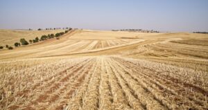 dependência agro brasileira