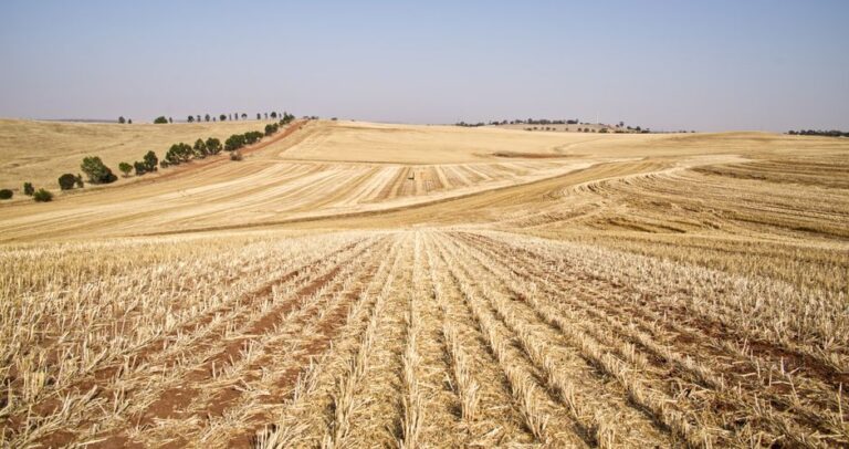 dependência agro brasileira