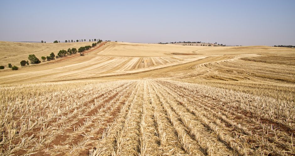 dependência agro brasileira